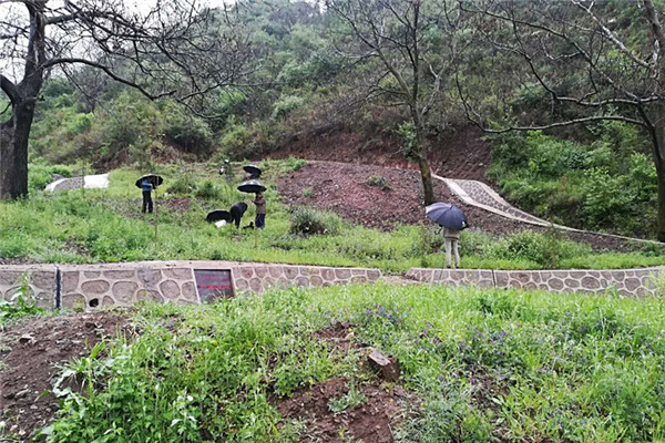 不畏艰险，奋力前行——记陕西地区军工铀矿退役治理环保验收监测工作(图1)