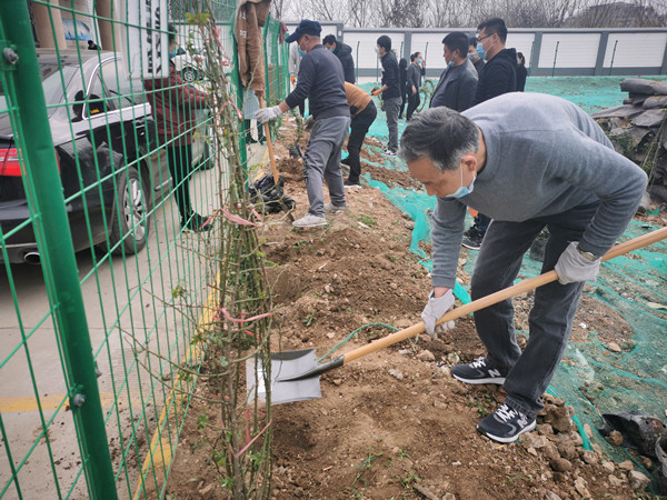 植树节，测试公司开展植树活动(图2)